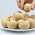 Top quality bulk raw Xinjiang Walnut In Shell